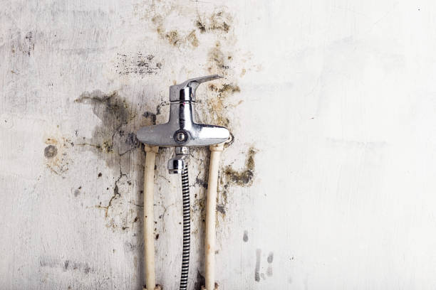 Best Emergency Mold Removal  in Wynantskill, NY